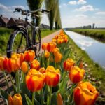 Waarom kiezen voor een elektrische fiets?
